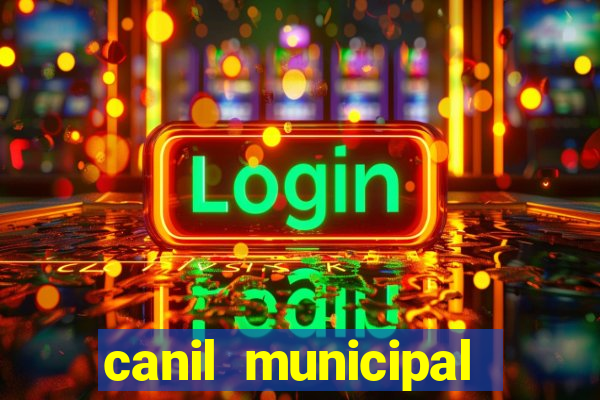 canil municipal porto alegre